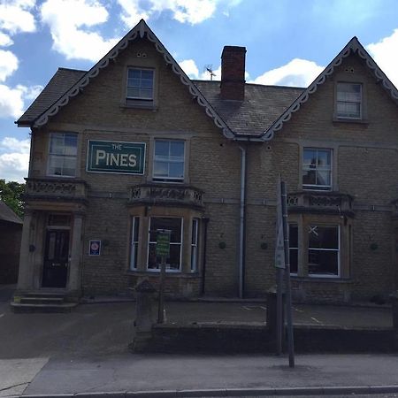 The Pines Guest Accommodation Chippenham  Exterior photo